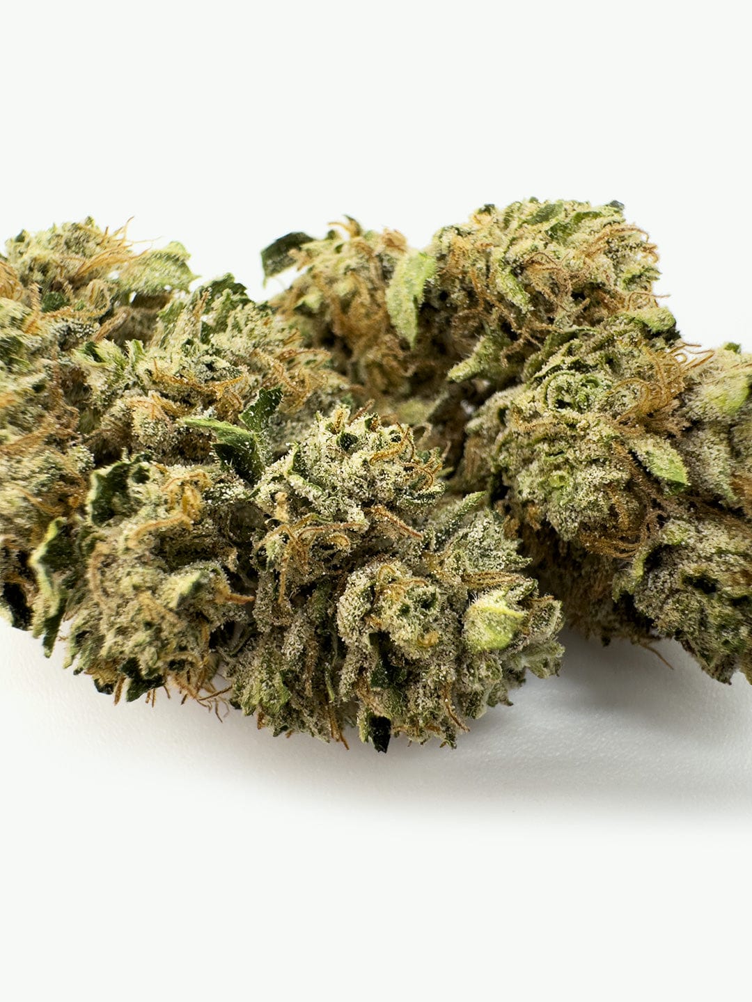 The White CBG - Fleurs de CBG (8-13% CBG)