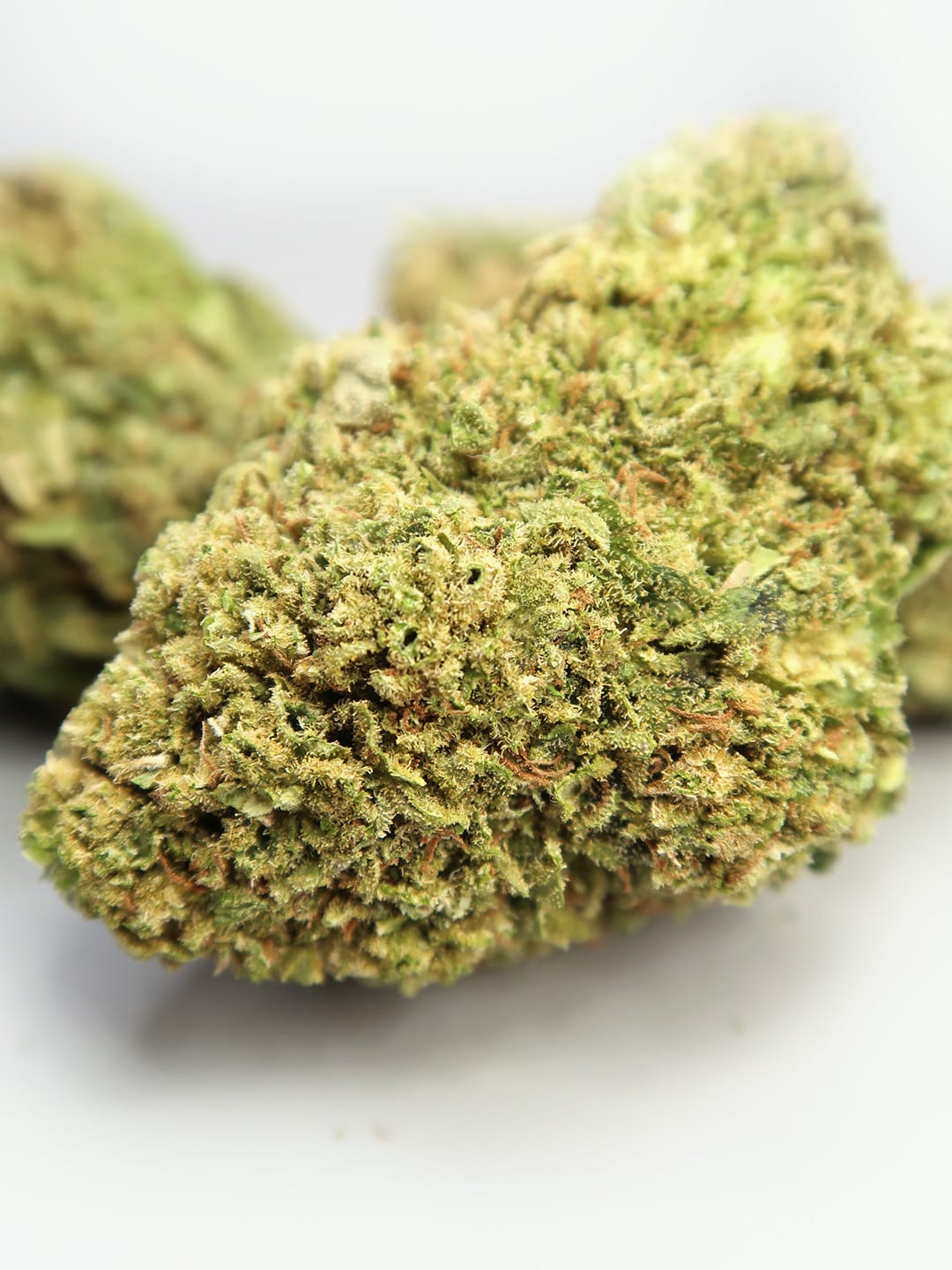Sweet Honey - Fleur de CBD Cryocure (8-13%)