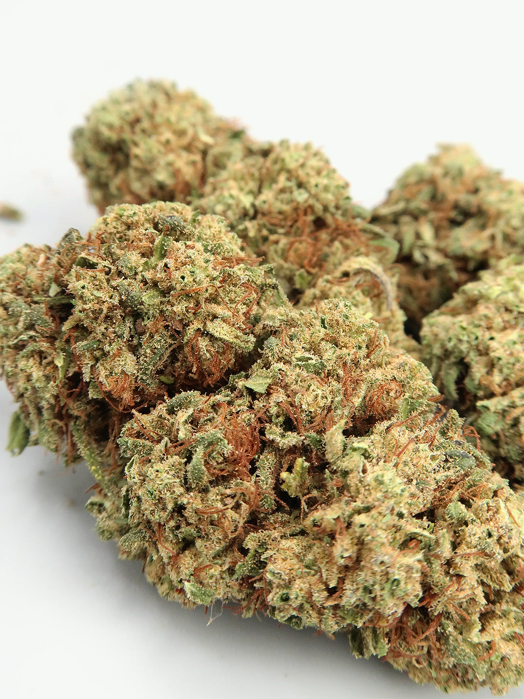 Biscotti - Fleurs de CBD Premium (13% CBD)