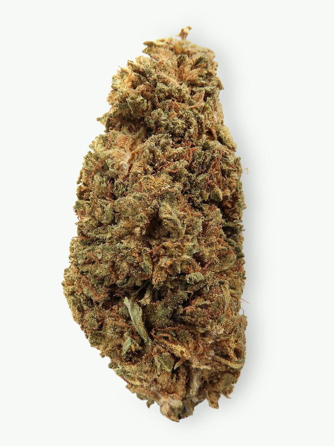 AK-47 - Fleur de CBD (8-13% CBD)
