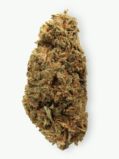 AK-47 - Fleur de CBD (8-13% CBD)