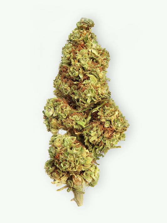 AK-47 - Fleur de CBD (8-13% CBD)