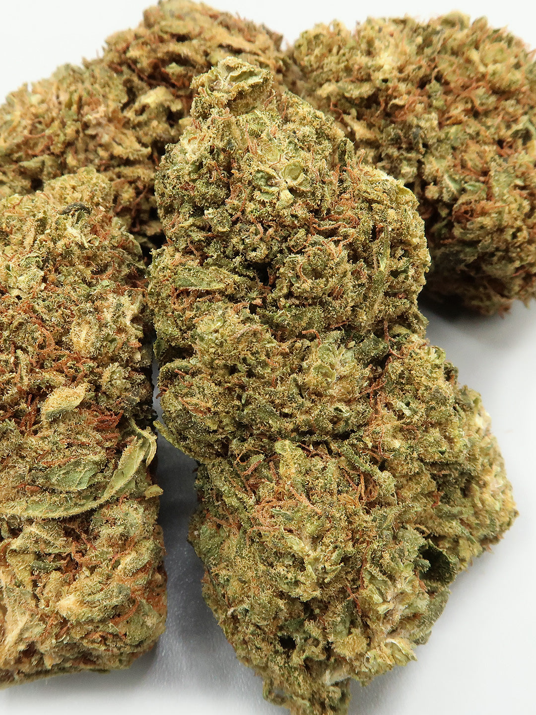 AK-47 - Fleur de CBD (8-13% CBD)