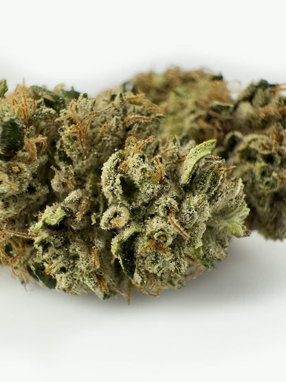 The White CBG - Fleurs de CBG (8-13% CBG)