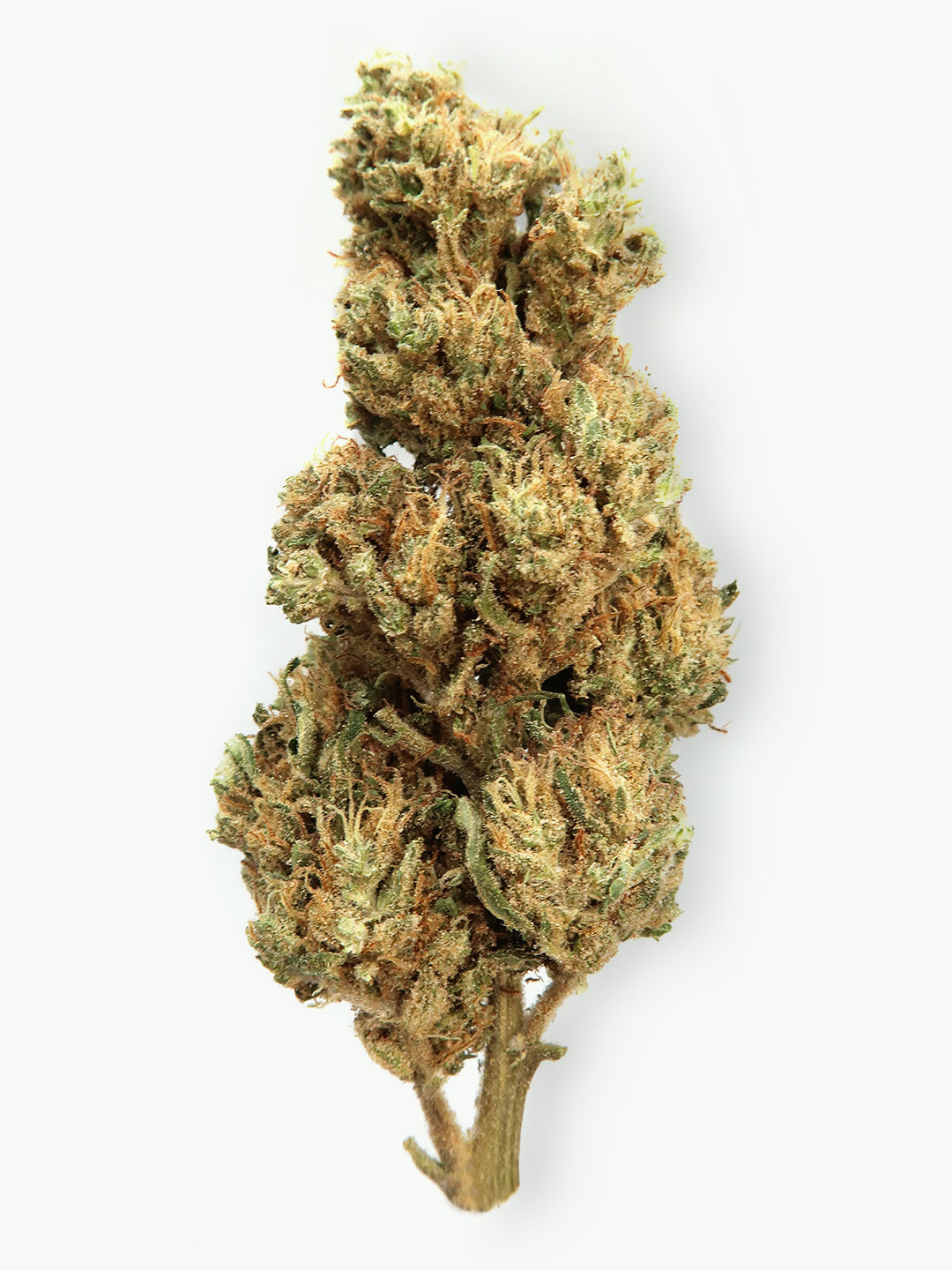 Cookies & Cream - Fleur de CBD (8-13% CBD)