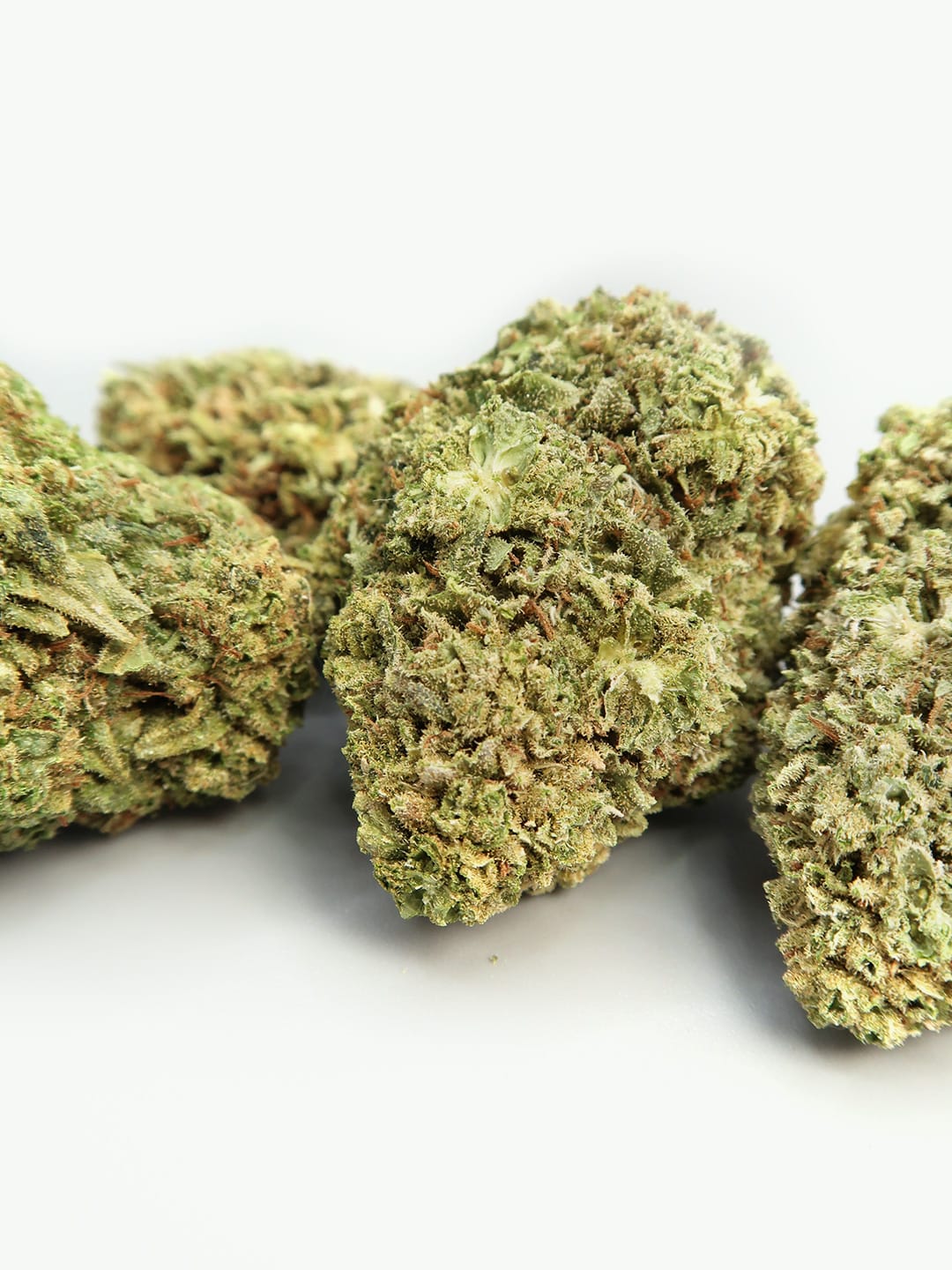 Sweet Honey - Fleur de CBD Cryocure  (8-13%)