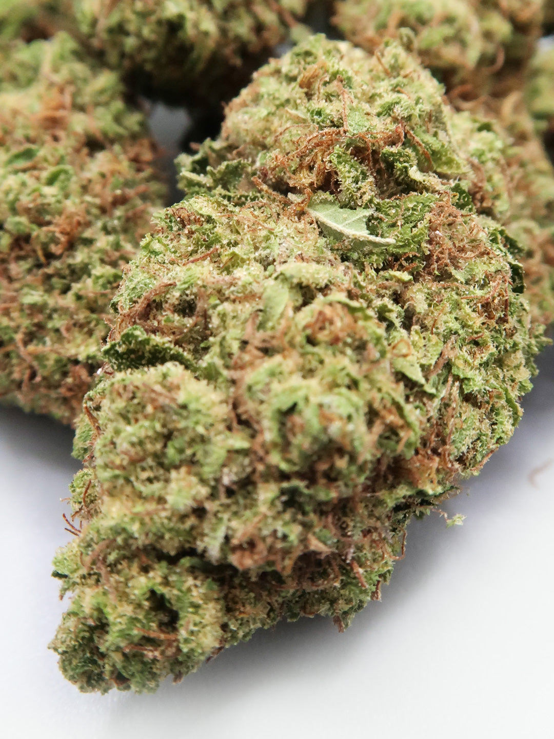 Gelato - Fleur de CBD (8-13% CBD)