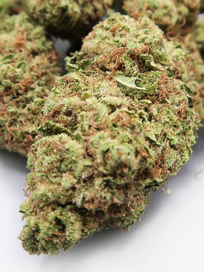 Gelato - Fleur de CBD (8-13% CBD)