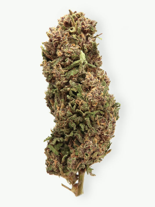 Legendary OG - Fleur de CBD (8-13% CBD)