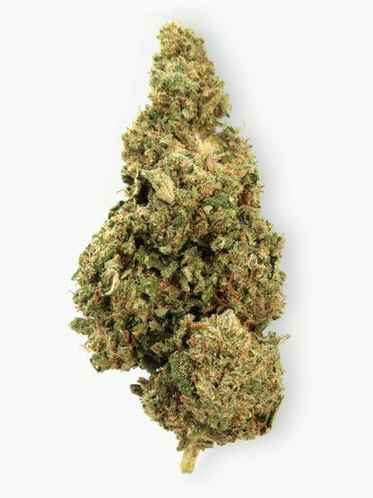Limoncello - Fleurs de CBD (8-12% CBD)