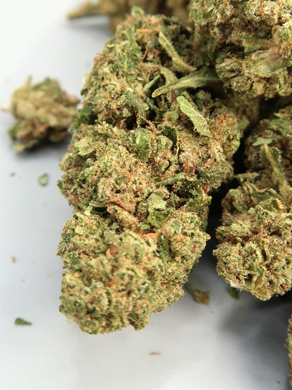 Limoncello - Fleurs de CBD (8-12% CBD)