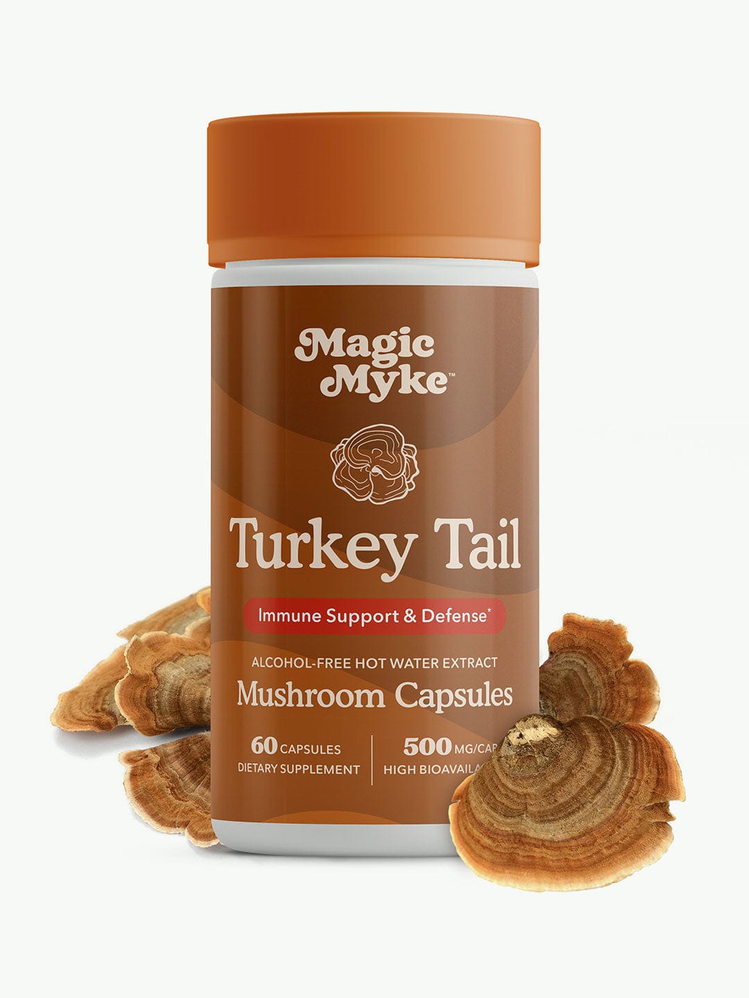 Turkey Tail – Complexe de Champignons Bio Puissant | 60 Gélules à Haute Concentration