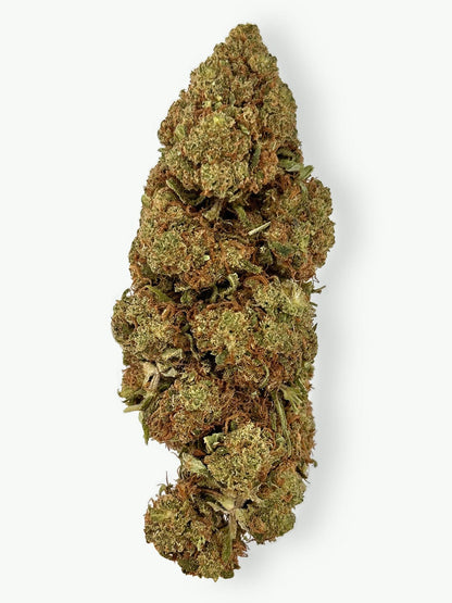 Mimosa Sunrise - Fleur de CBD (8-13% CBD)