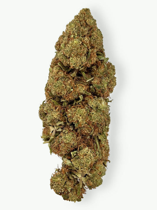 Mimosa Sunrise - Fleur de CBD (8-13% CBD)