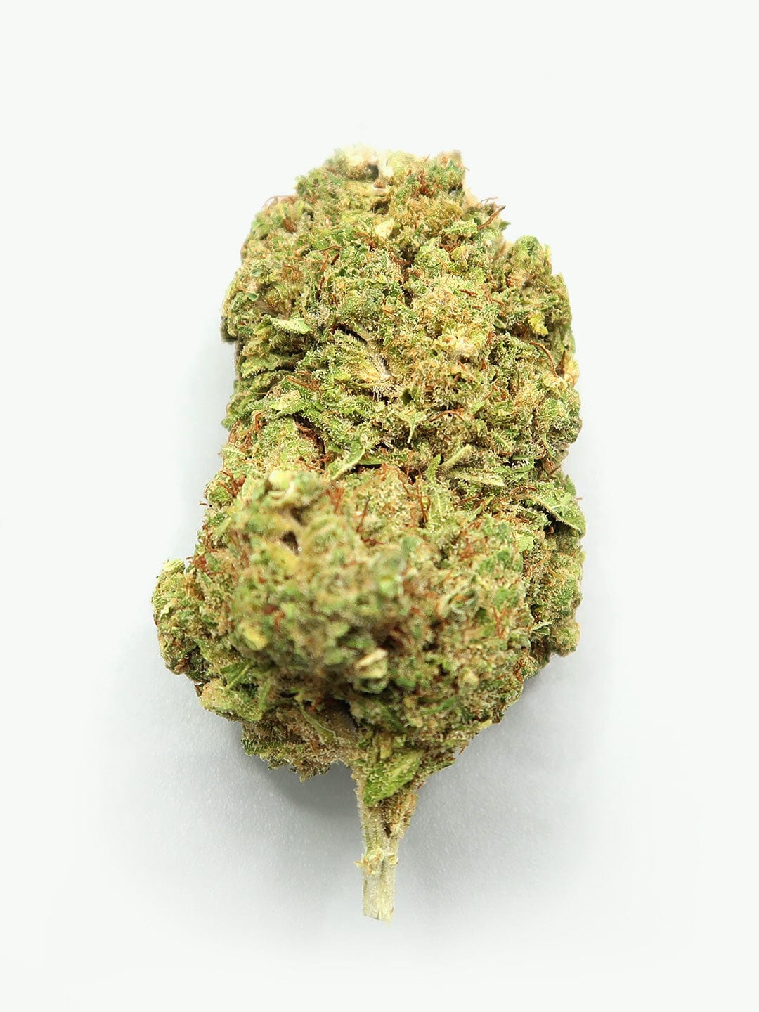 sorbet cbd hemp flower close