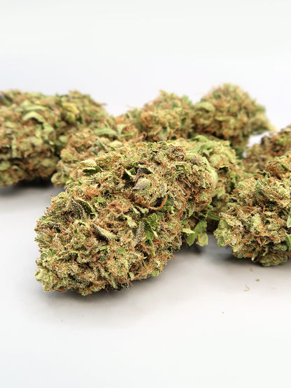 Sorbet - Fleur de CBD (8-13% CBD)