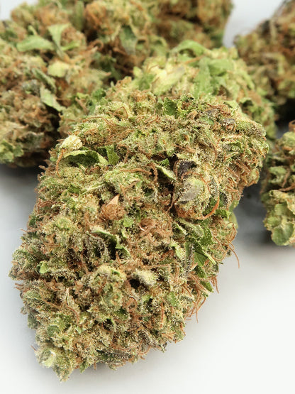 Sorbet - Fleur de CBD (8-13% CBD)