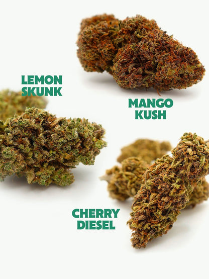 Pack Fleurs de CBD Fruitées
